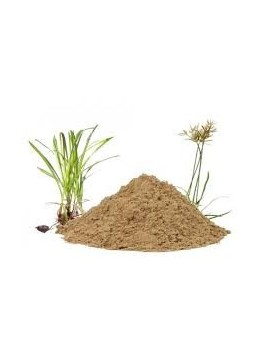 Grossiste Poudre de nagarmotha bio en gros