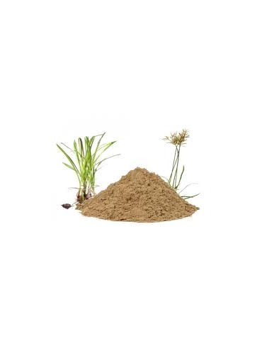 Grossiste Poudre de nagarmotha bio en gros