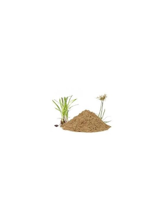 Grossiste Poudre de nagarmotha bio en gros