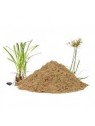 Grossiste Poudre de nagarmotha bio en gros