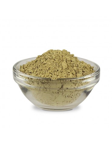 Poudre Aloe vera 200 fois concentrée