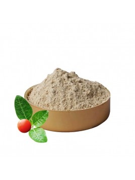 Poudre ginseng indien bio