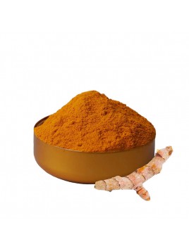 Poudre  Curcuma Bio Vrac