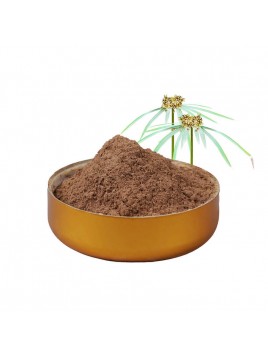 poudre souchet Inde  vrac