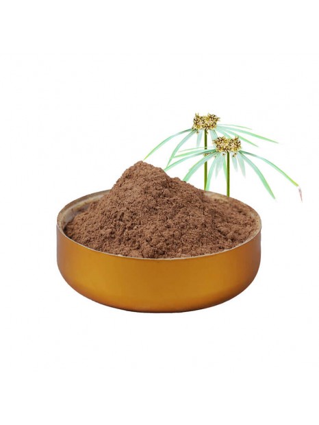 poudre souchet Inde  vrac