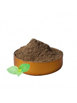 GROSSISTE TULSI BIOLOGIQUE