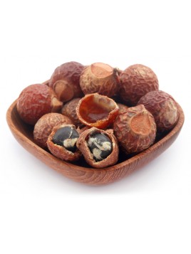 Grossiste poudre ayurvedique aritha Inde