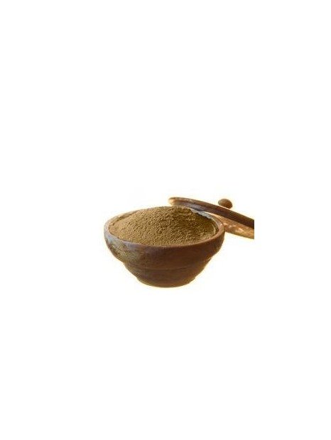 Poudre Ayurvédique de Shikakaï Bio en vrac