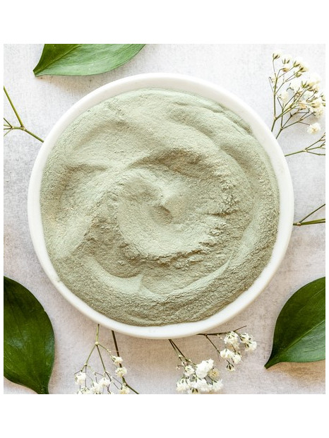 Fournisseur poudre argile verte surfine